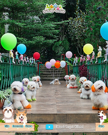 Snapinsta.app_440228809_18431009740051985_7444560397782949307_n_1080